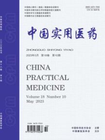 中国实用医药杂志